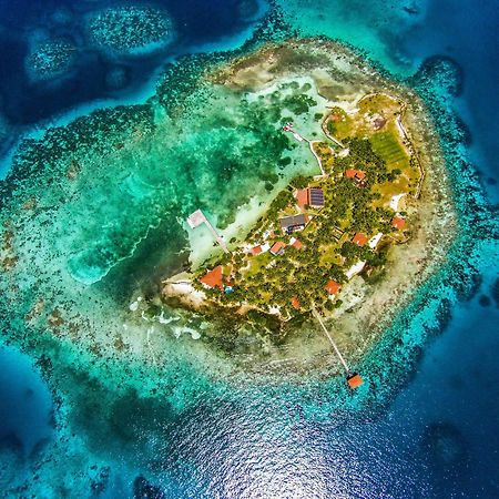 Hatchet Caye Island Resort (Adults Only) Placencia المظهر الخارجي الصورة