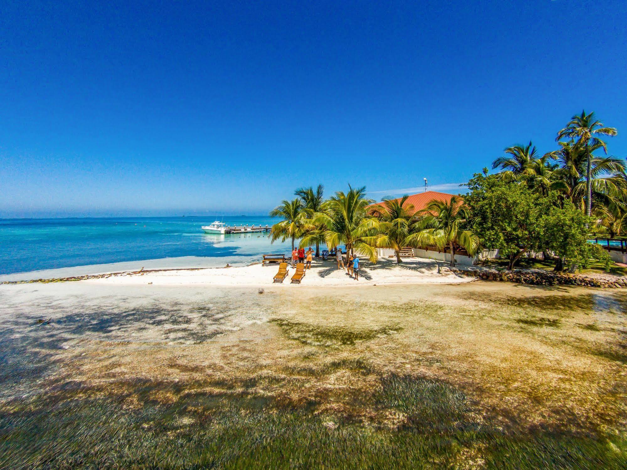 Hatchet Caye Island Resort (Adults Only) Placencia المظهر الخارجي الصورة