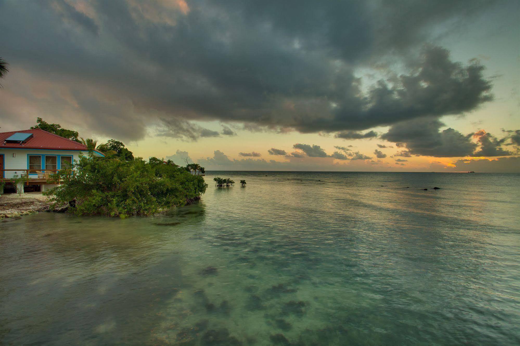 Hatchet Caye Island Resort (Adults Only) Placencia المظهر الخارجي الصورة
